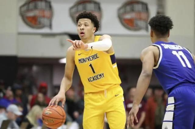 蛇类和冷漠 蛇类和冷漠